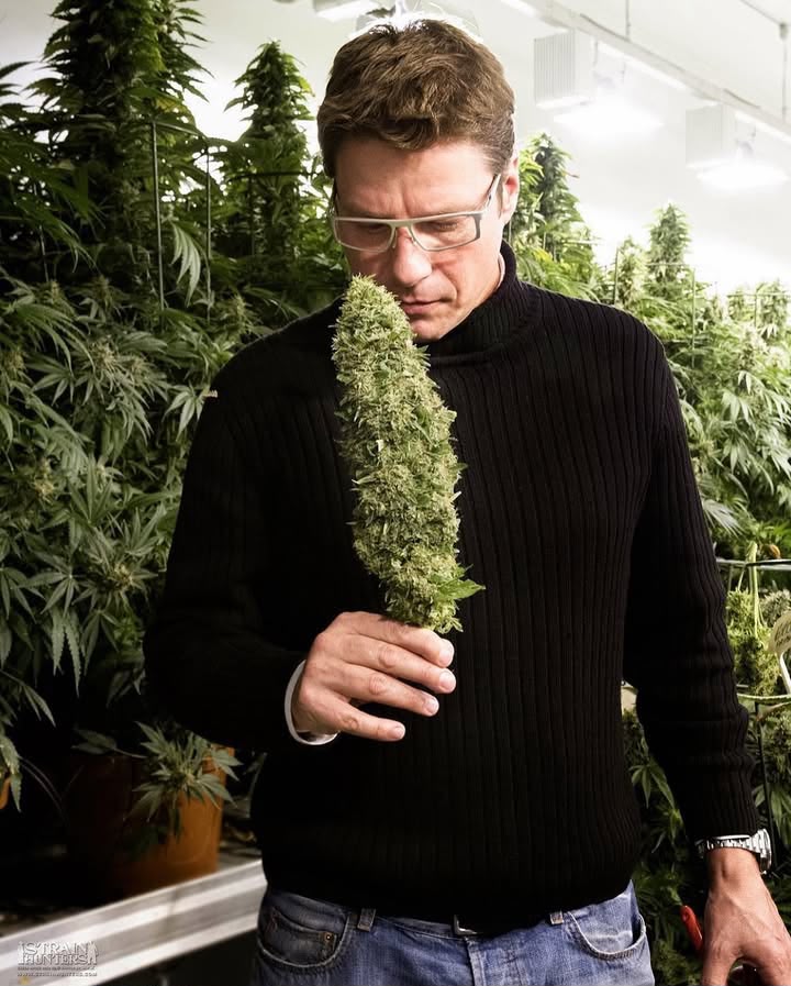 Arjan Roskam holding a long cured flower inside an indoor Green House grow room