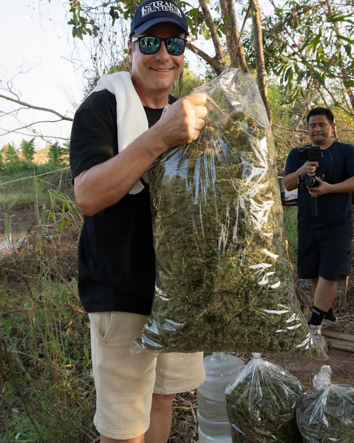A large transparent bag of dried plant material carried at the edge of a harvest field while a camera operator films