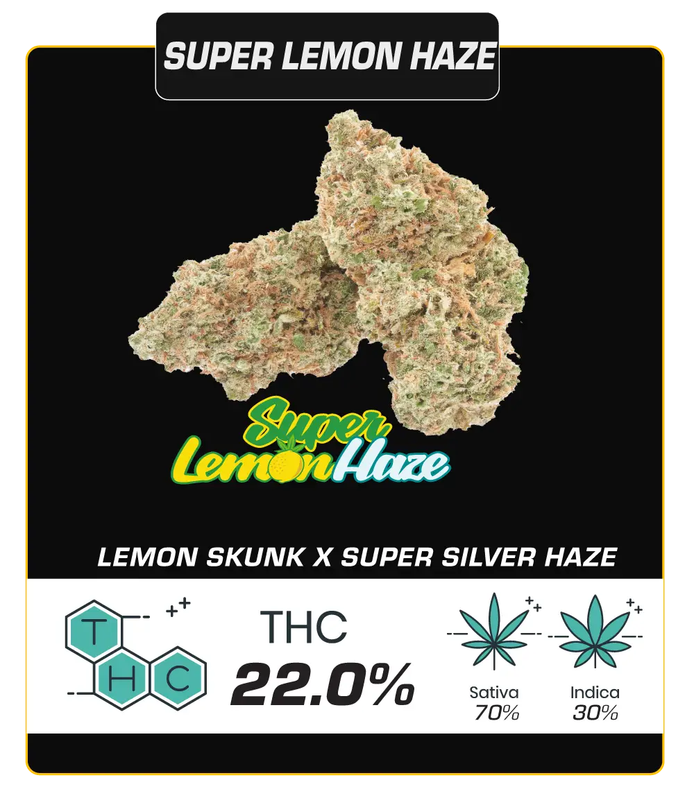 SUPER-LEMON-HAZE