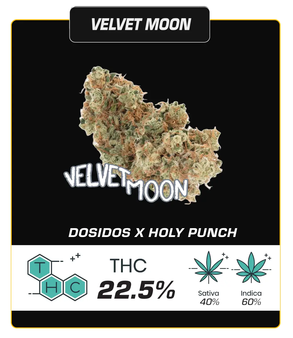 velvet-moon