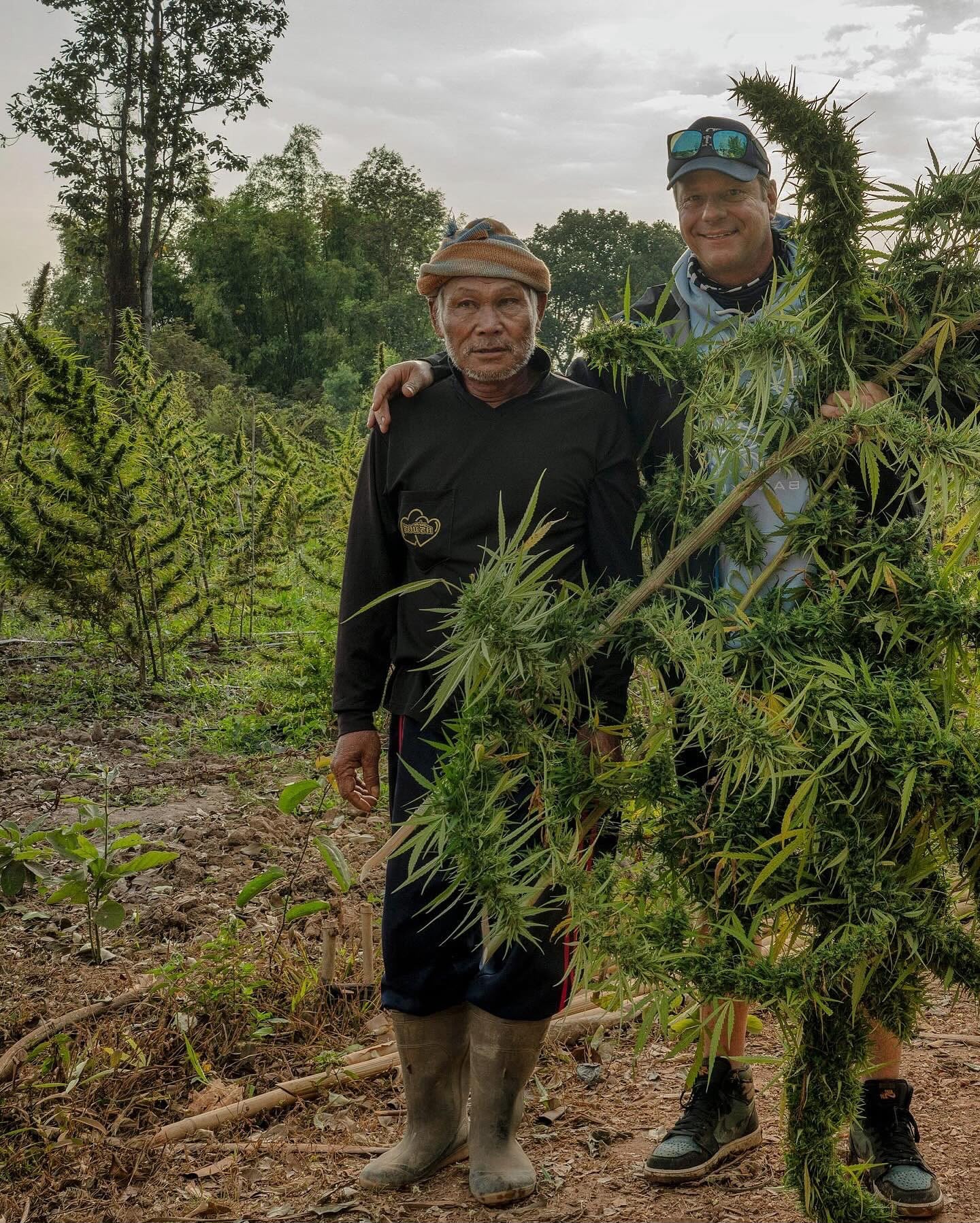 Two people standing side by side in a field holding freshly harvested plants at dusk