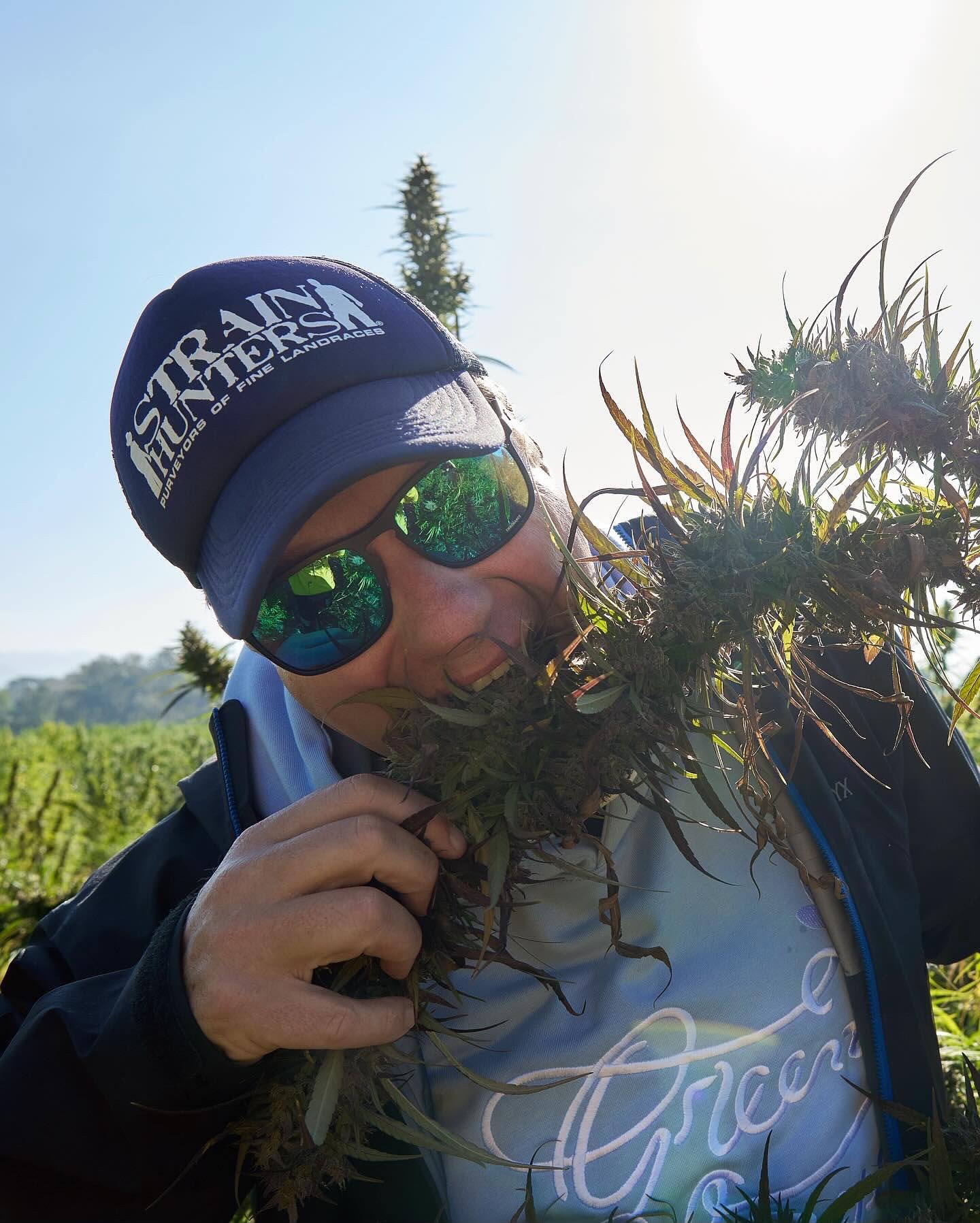 A team member in expedition clothing checking the aroma of freshly cut flowers in bright sunlight